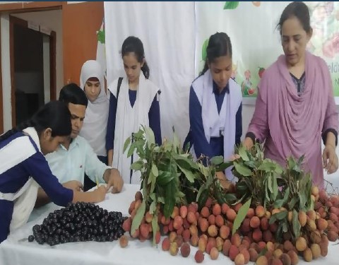 Celebrated Fruits Festival – 2023